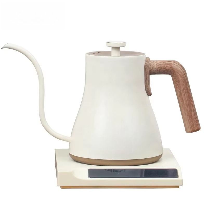 Stainless Steel Electric Kettl - Electric Kettle Temperature Control recension och pris
